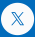 logo X