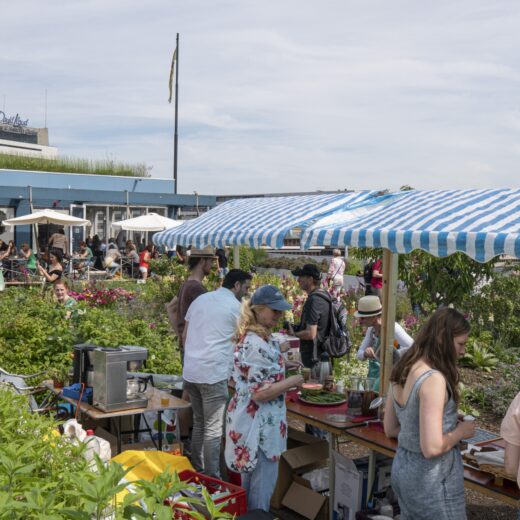 Rotterdamse dakendagen