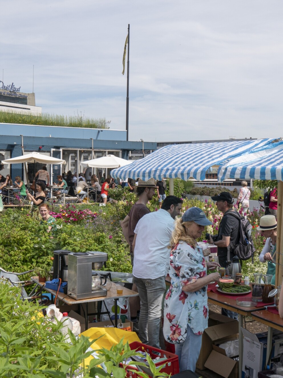 Rotterdamse dakendagen
